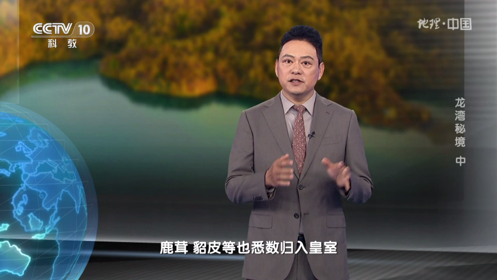 ÿtv°汾v01 ׿