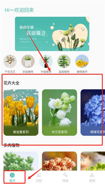 ¼app