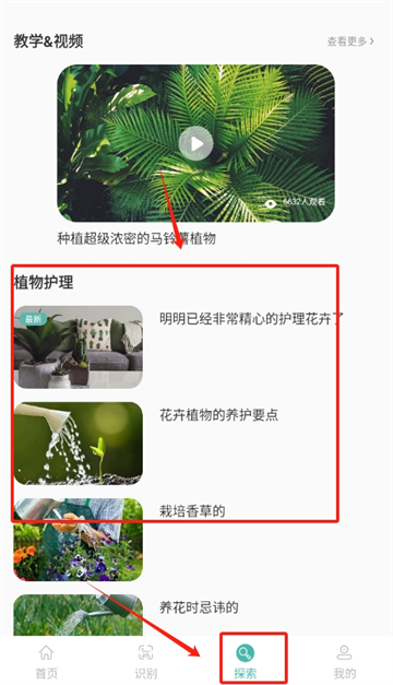 ¼app
