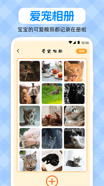 ﷭petԻapp