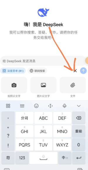 deepseek׼ deepseek軰ָ