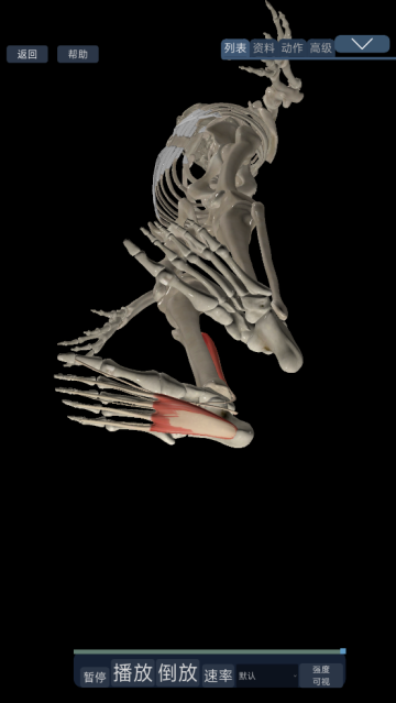 3d˶ֻ