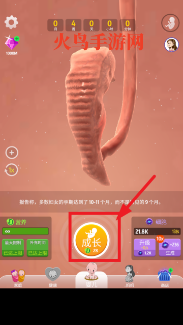 ʷϷ
