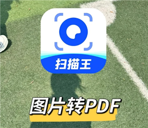 ɨôͼƬpdf ɨͼƬpdf̳