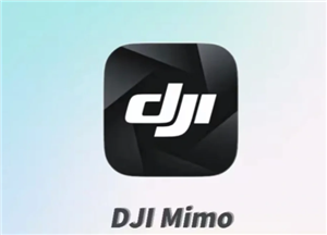 djimimoʹý̳ djimimoô豸