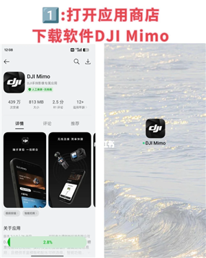 djimimoʹý̳ djimimoô豸