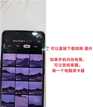 djimimoʹý̳ djimimoô豸