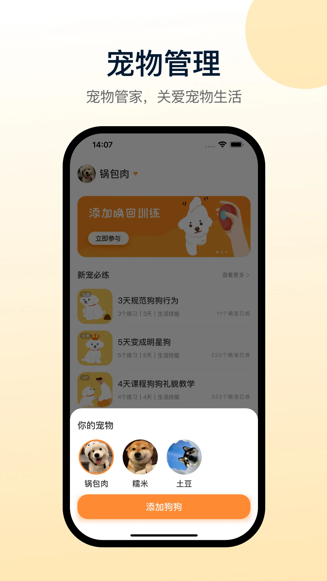 Сѵʦappv1.0.8 °