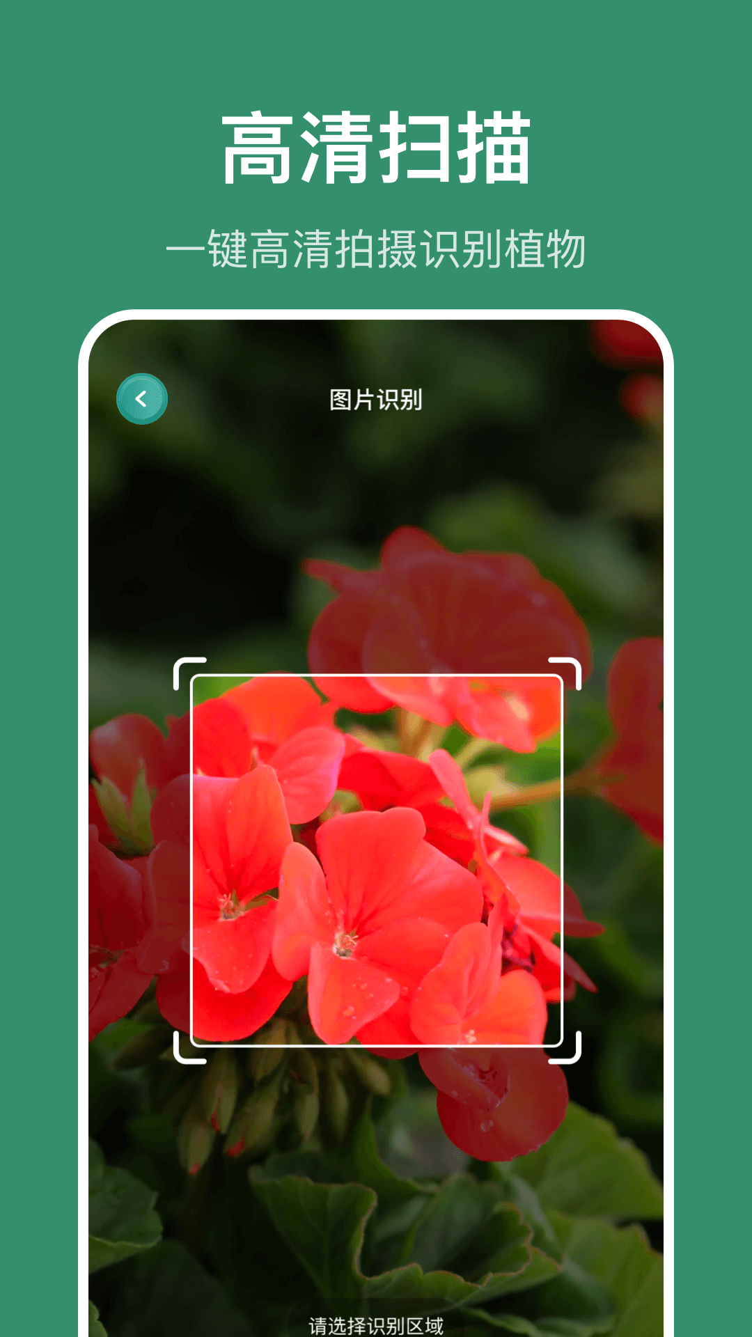 ʶv1.15 ׿
