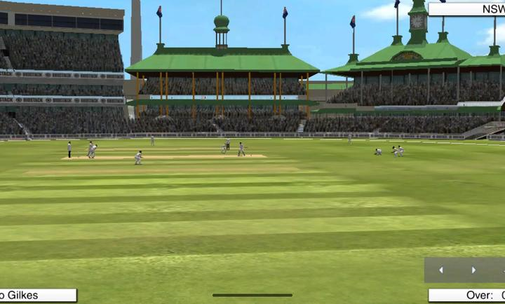 ӳ2025°(Cricket Captain 2025)v1.0 ׿