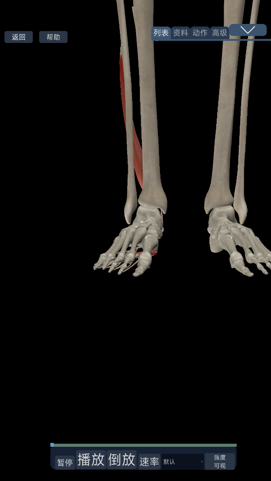 3d˶ֻv3.04 ٷ