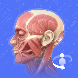 3dͼ3dģv2.4.2 ׿