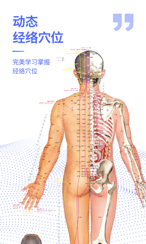 3dͼ3dģv2.4.2 ׿