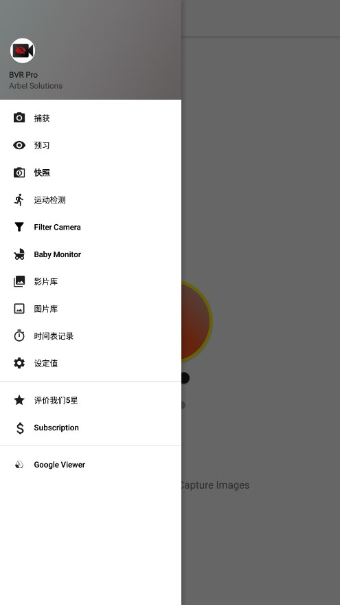 bvr proϢ̨¼v13.3.19 °