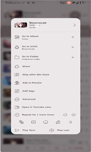 namidaֲ°v5.0.4 ׿