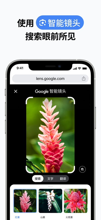 ȸٷֻ氲׿(Chrome)v138.0.7204.179 ٷ