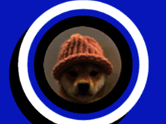 wifδǱ wif2025ǵ