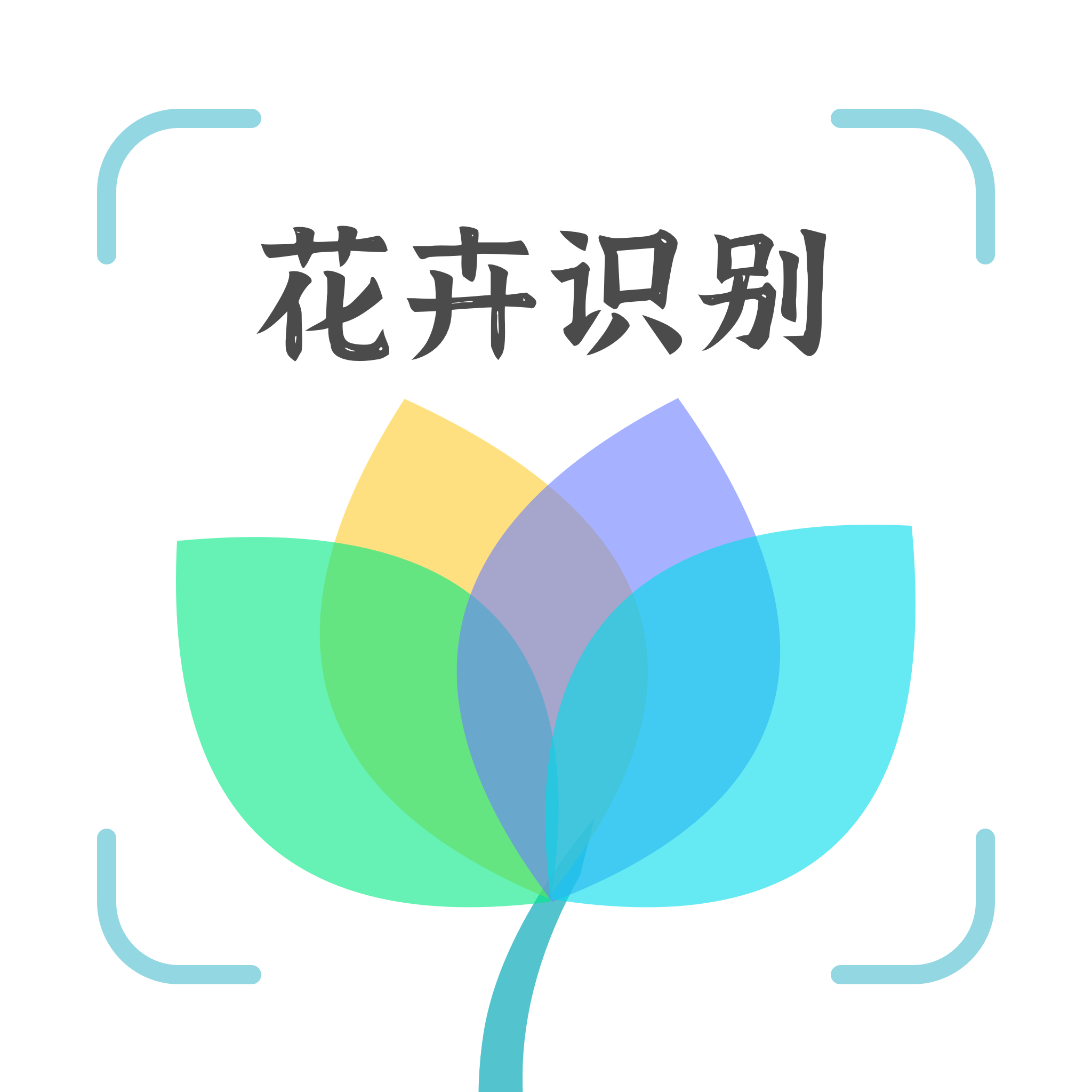 ʶv1.0.5 ׿