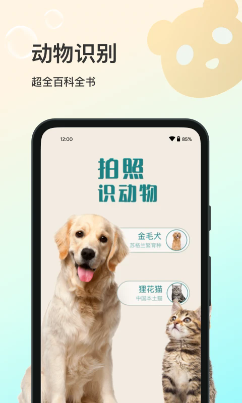 ʶv1.0.5 ׿