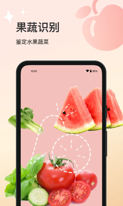 ʶv1.0.5 ׿