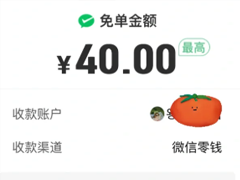 ƴµ40Ԫ ƴµ40Ԫô