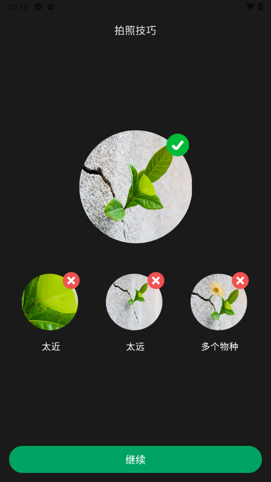 picturethis߼v5.7.0 ׿