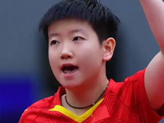 2025WTT￴ֱ WTT2025ĸ̨ת