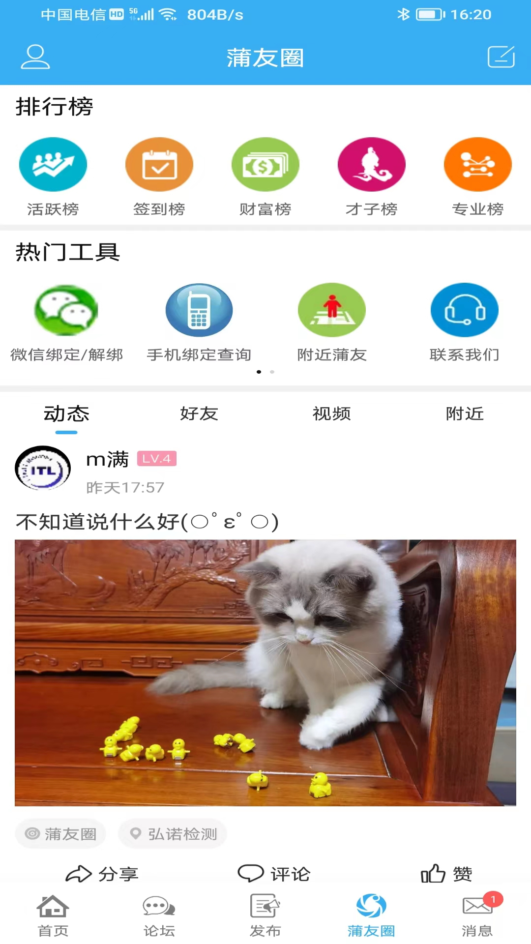 ѹӢapp°v3.3.0 ֻ