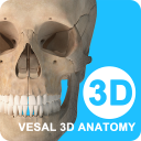 ά3dappv6.8.2 °