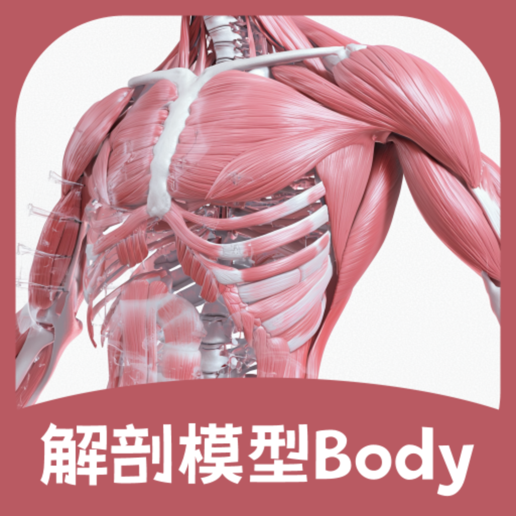 ģBodyv3.0.0 ֻ