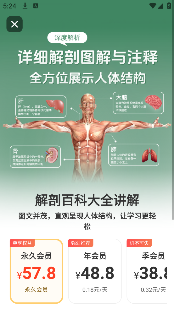 ģBodyv3.0.0 ֻ