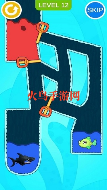 ȾСİ