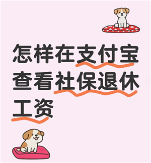 ֧ݹô ֧ݹʲ