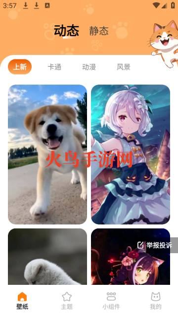 ֽ
