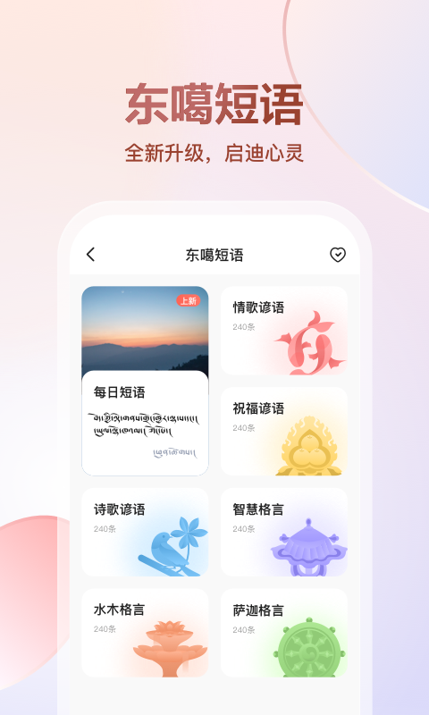 뷨appv5.8.0 °