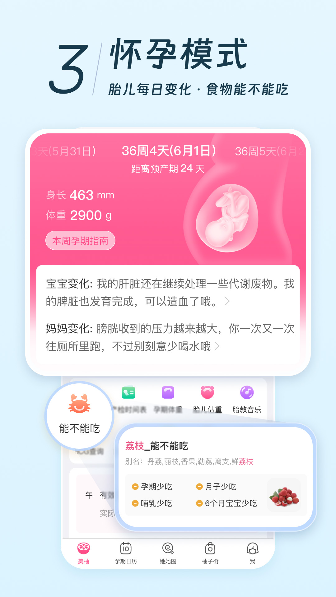 appv8.94.0.1 ֻ