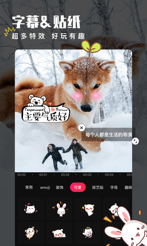 appv80.31.0׿