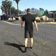 ֮ģֻ(Gangster Mafia)v1.60 ׿