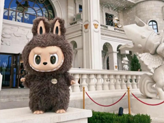 ��������ˮϴ����û�з�α�� ��������������ˮϴ��ɨ������˵�ȶȹ���ϵͳά����