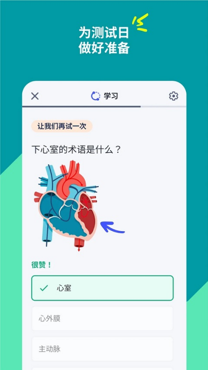 quizletӢappv10.0.1 °
