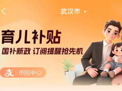 ֧������������������ô��ѯ ֧���������������Ҫ���