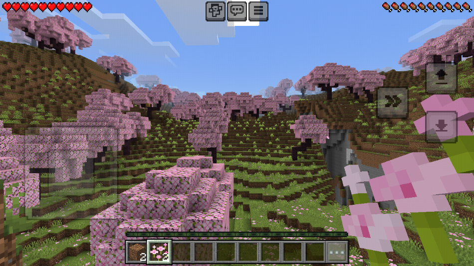 minecraft°汾(ҵ)v1.21.94.1 ׿