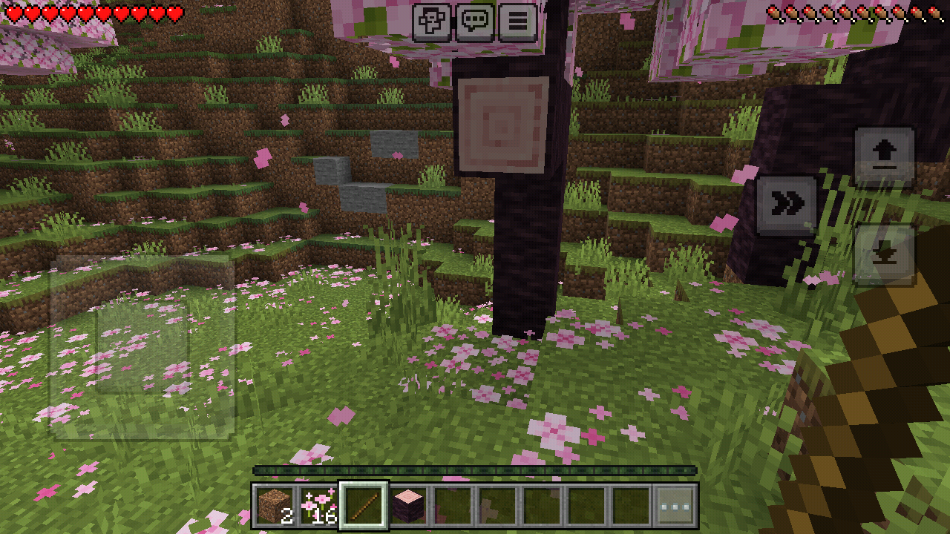 minecraft°汾(ҵ)v1.21.94.1 ׿