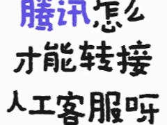 ѶƵ24Сʱ˹ͷ绰 ѶƵ˹ͷ