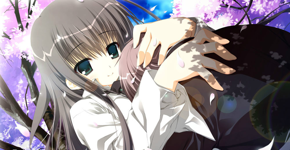 ӣ֮ʫ氲׿(sakura)v1.0 ֻ