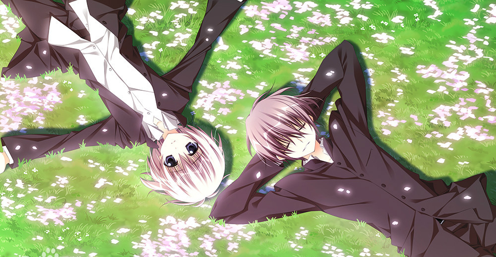 ӣ֮ʫ氲׿(sakura)v1.0 ֻ