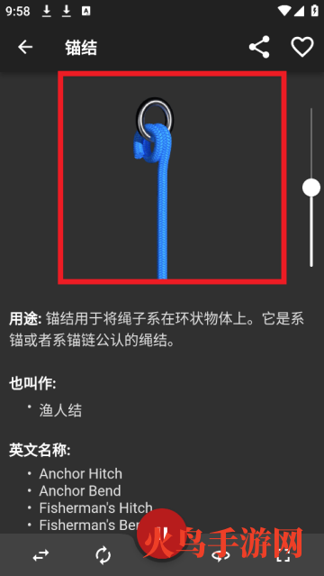 3D(Knots 3D)