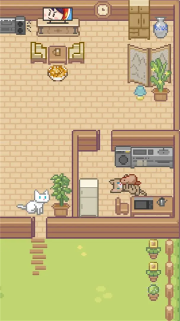 Miao°