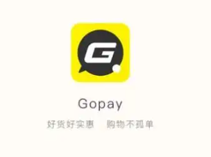 gopayǮappذװ°汾