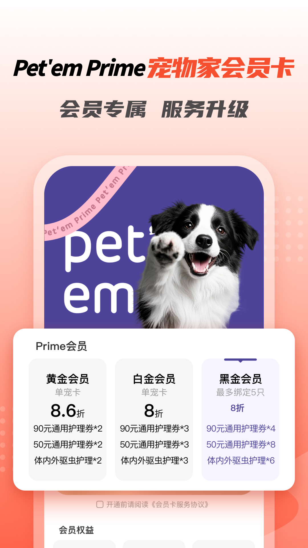 appv5.9.440 ٷ